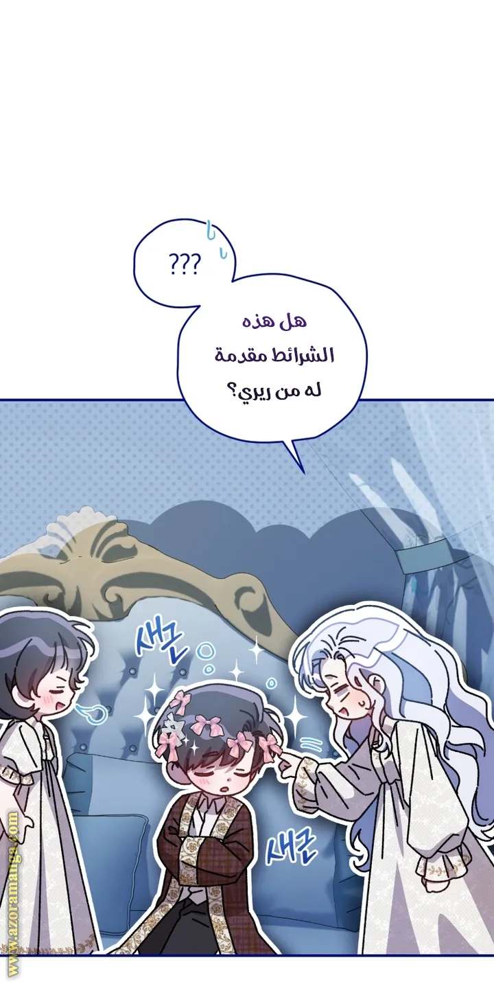 الصفحة 27