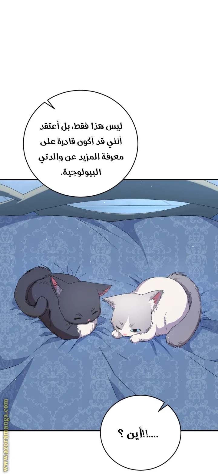 الصفحة 54