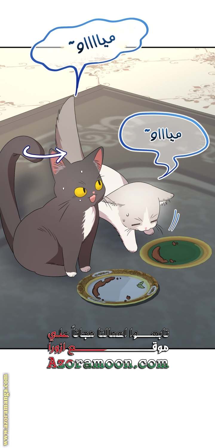 الصفحة 38