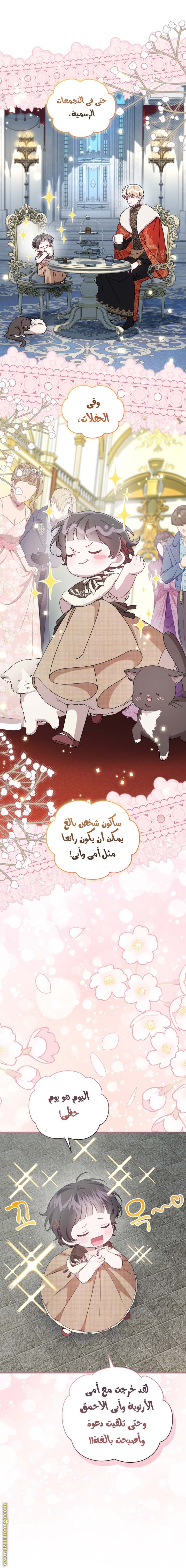 الصفحة 23