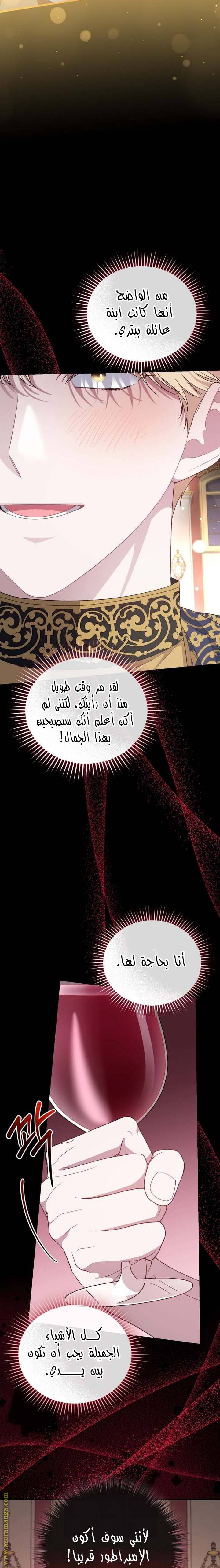 الصفحة 26