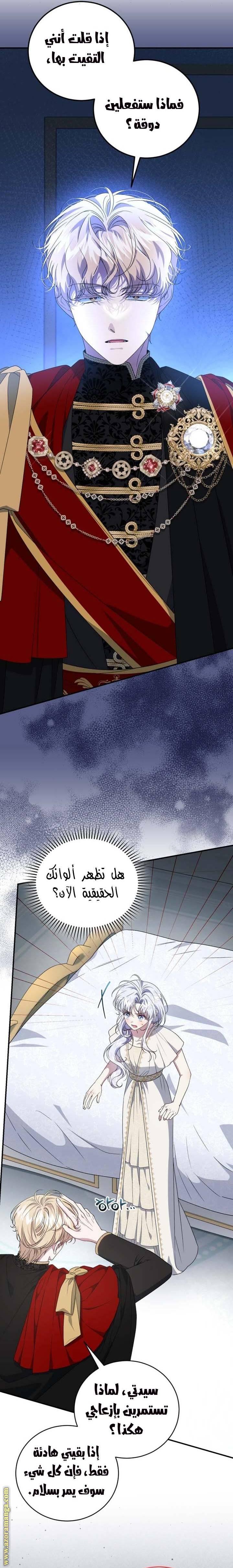 الصفحة 29