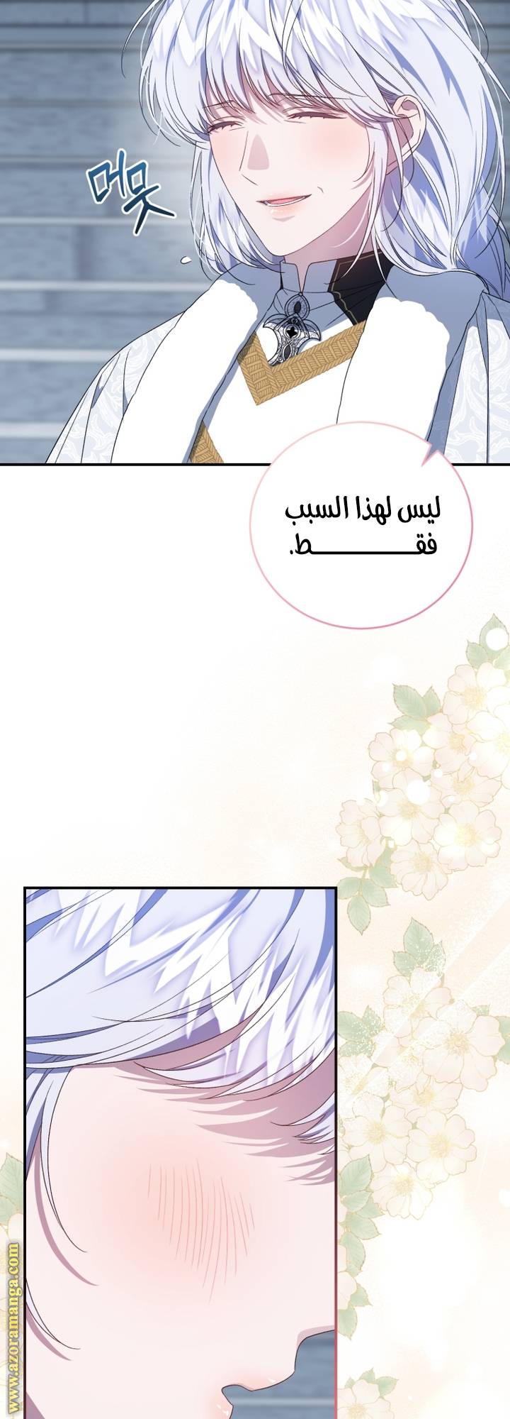 الصفحة 19
