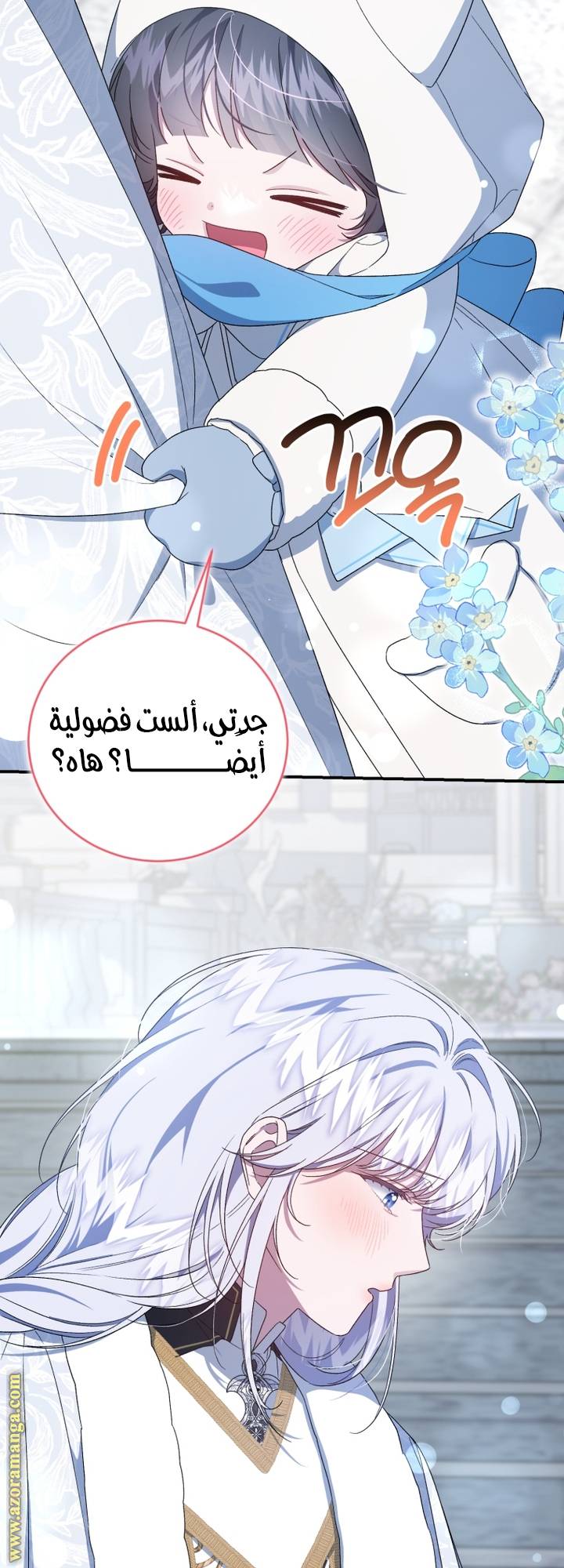 الصفحة 27