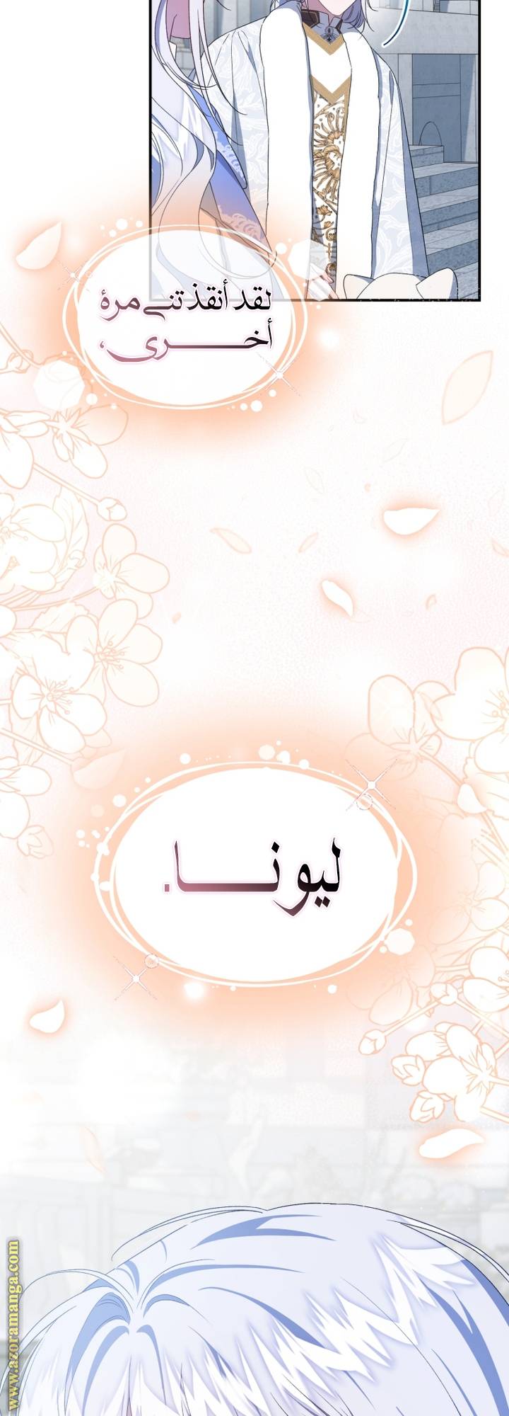 الصفحة 29