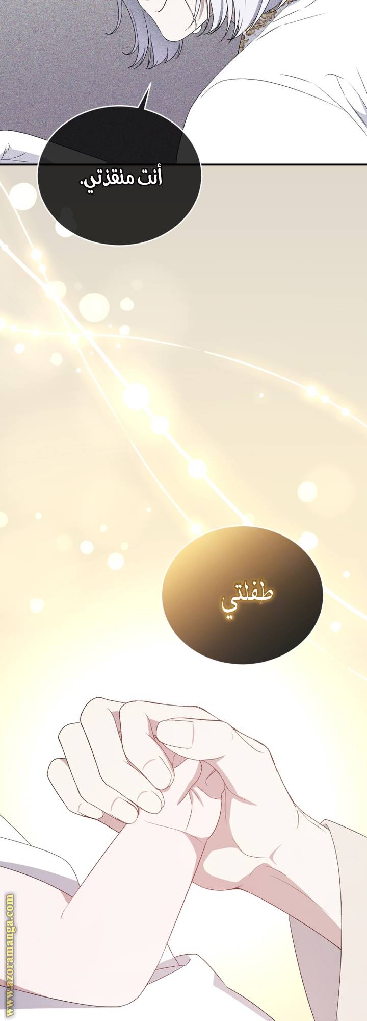 الصفحة 31