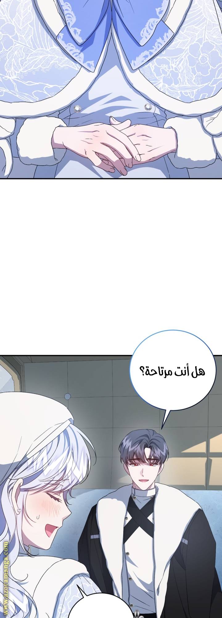 الصفحة 42