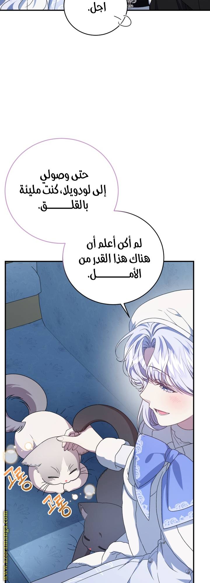 الصفحة 43