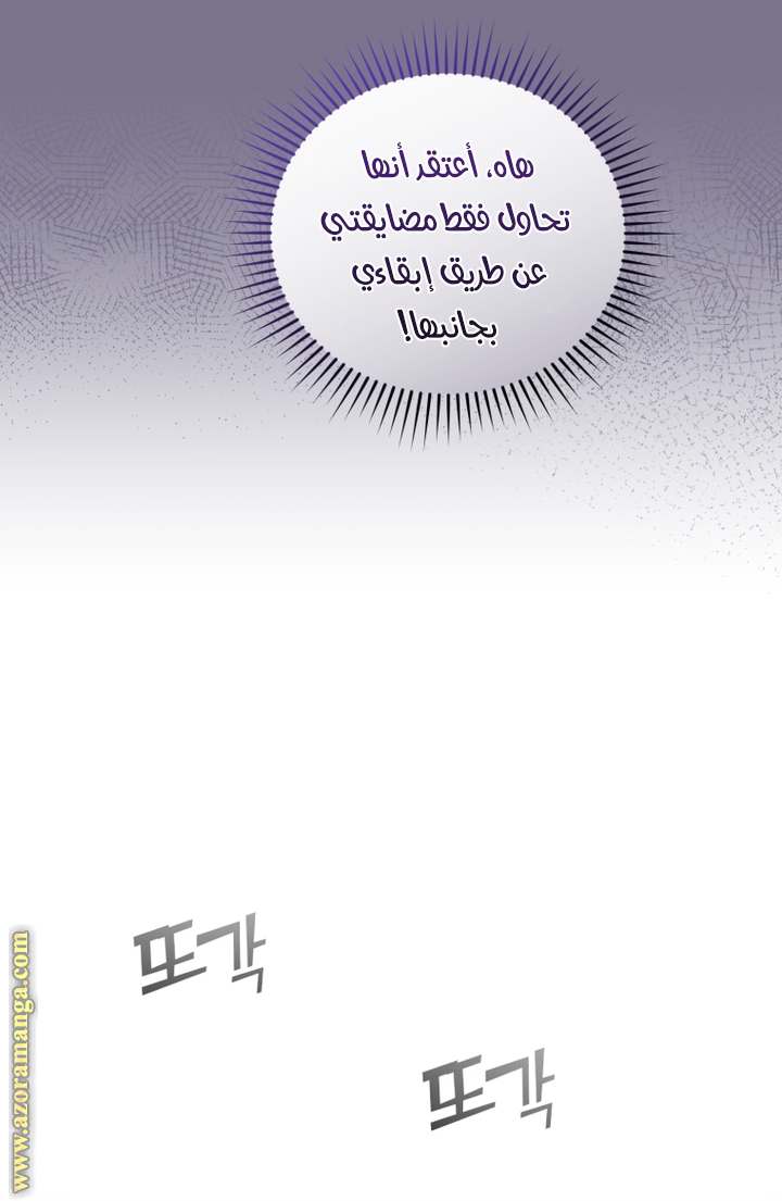 الصفحة 25