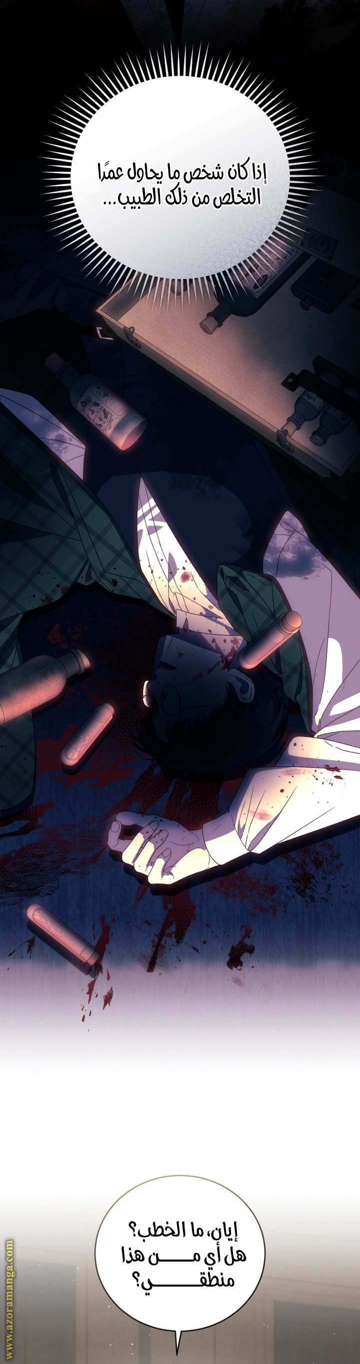 الصفحة 17