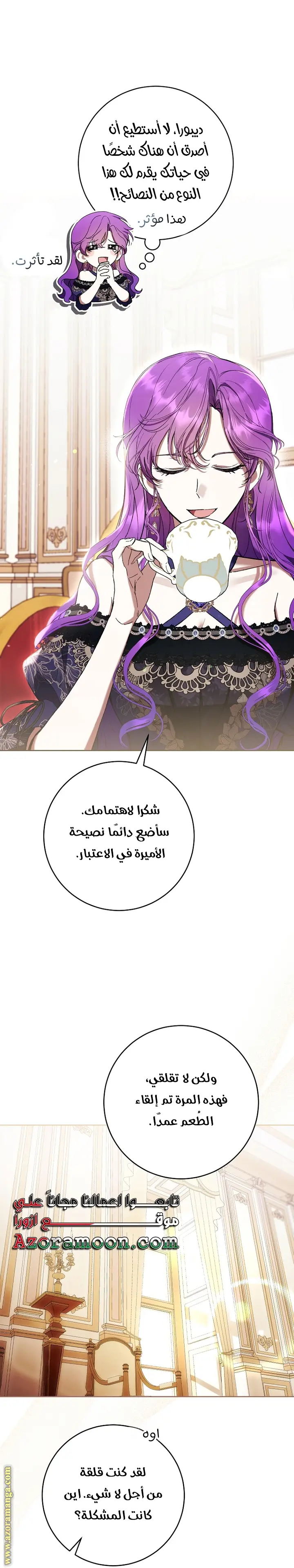 الصفحة 17