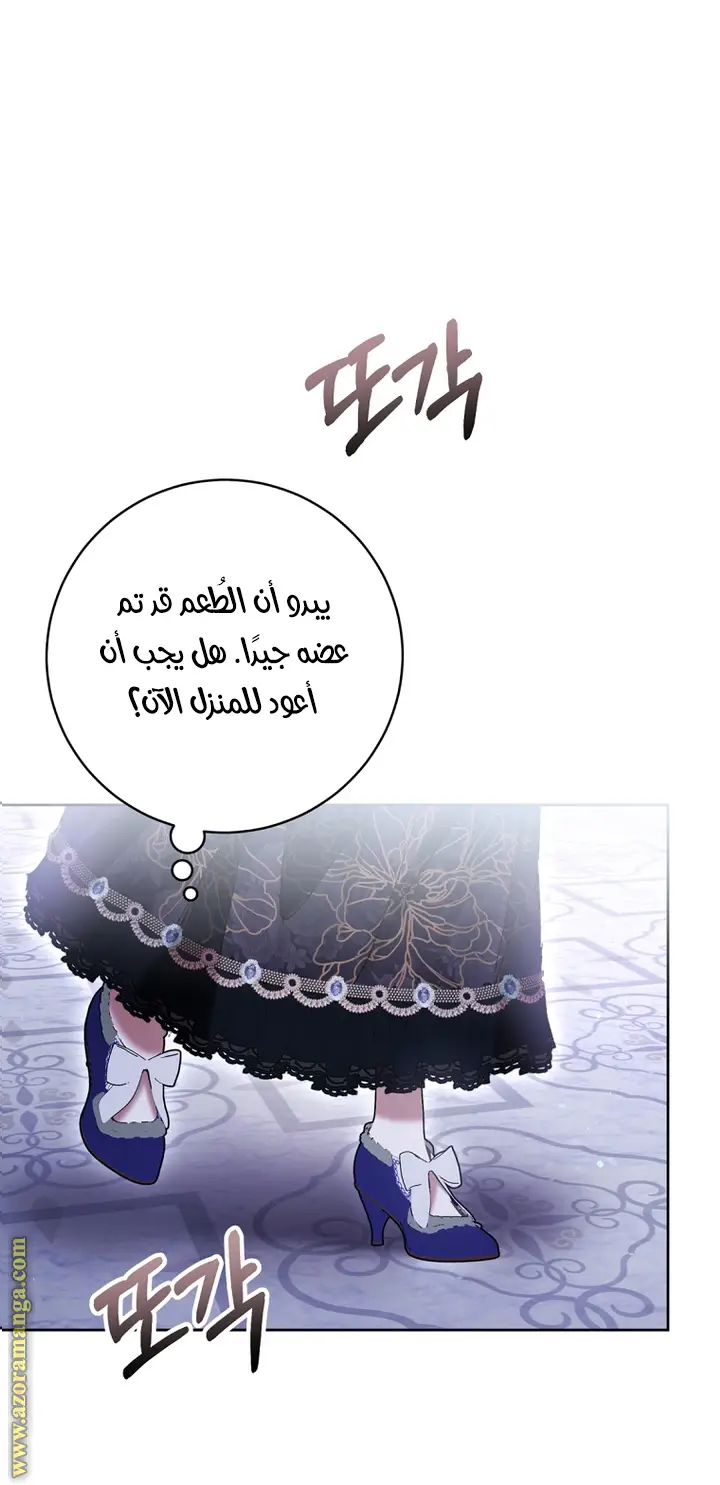 الصفحة 25