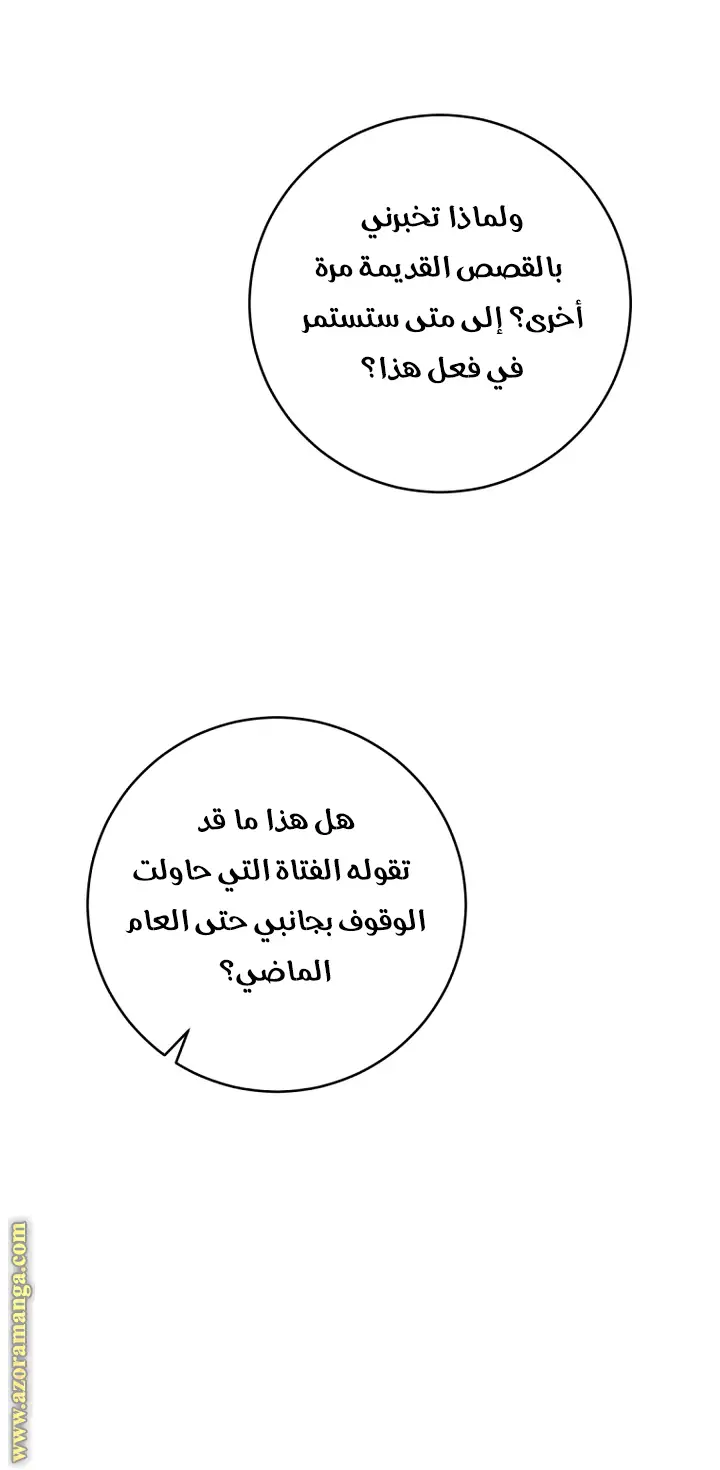الصفحة 29