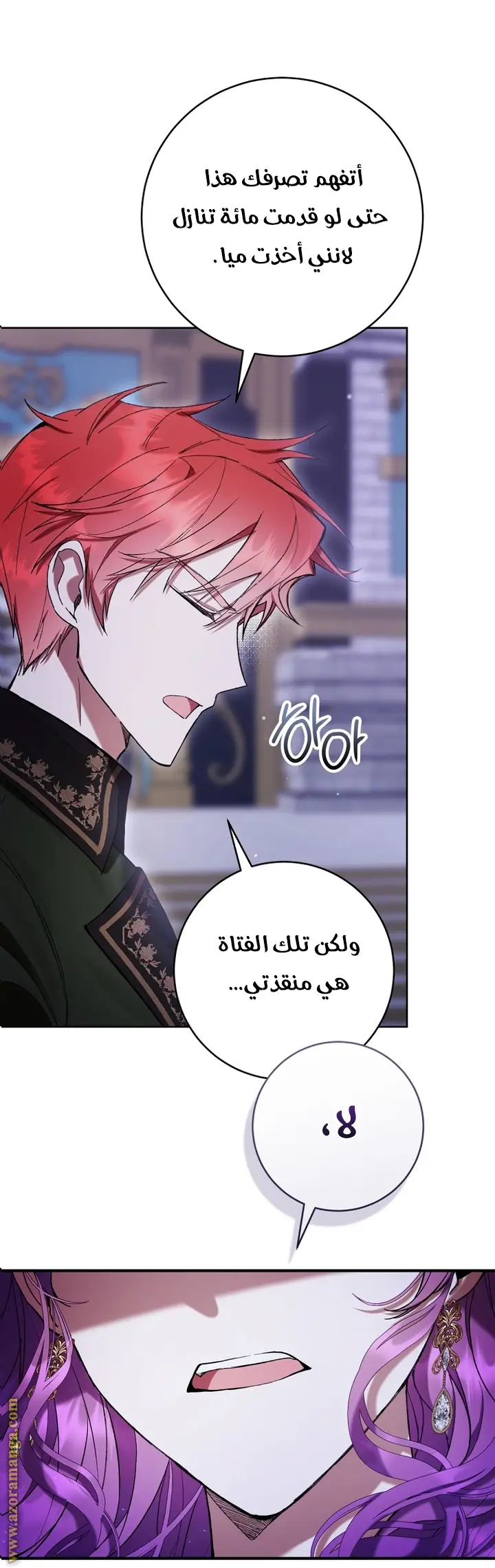 الصفحة 31