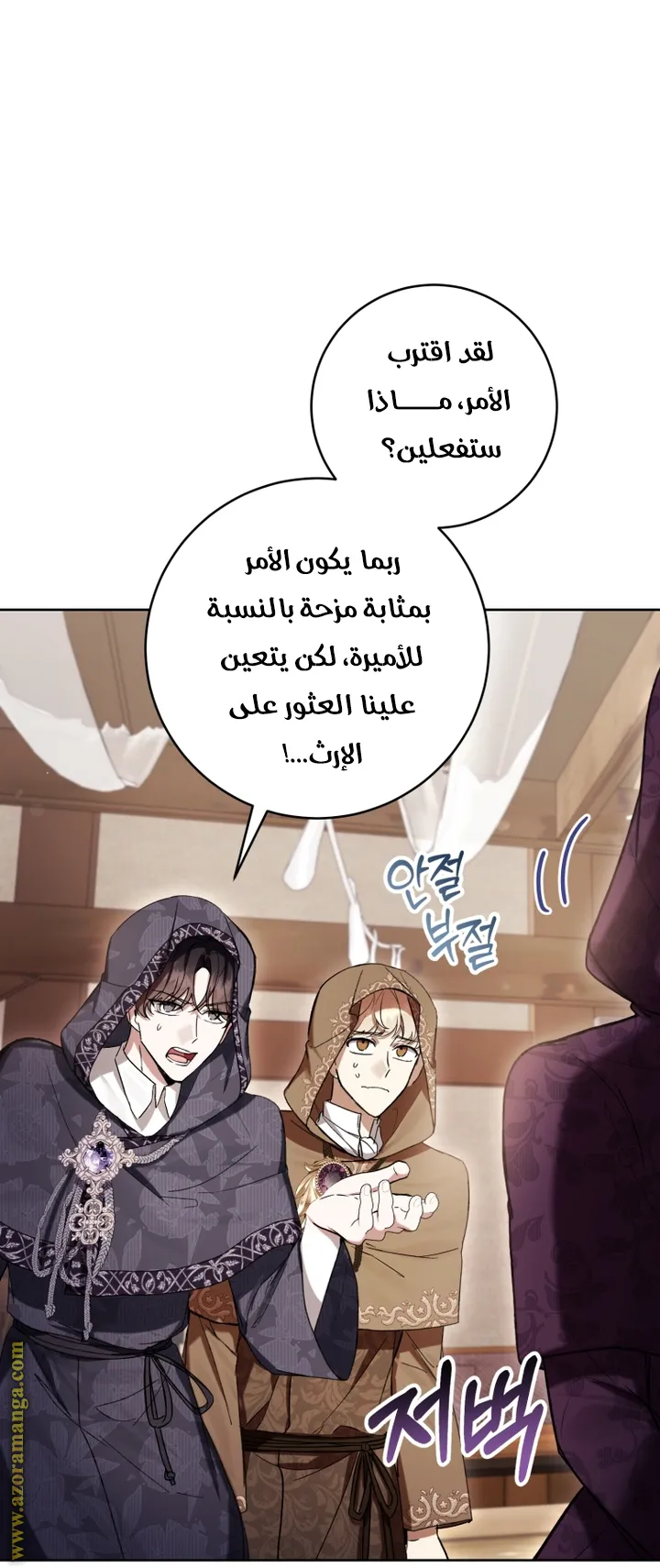 الصفحة 13