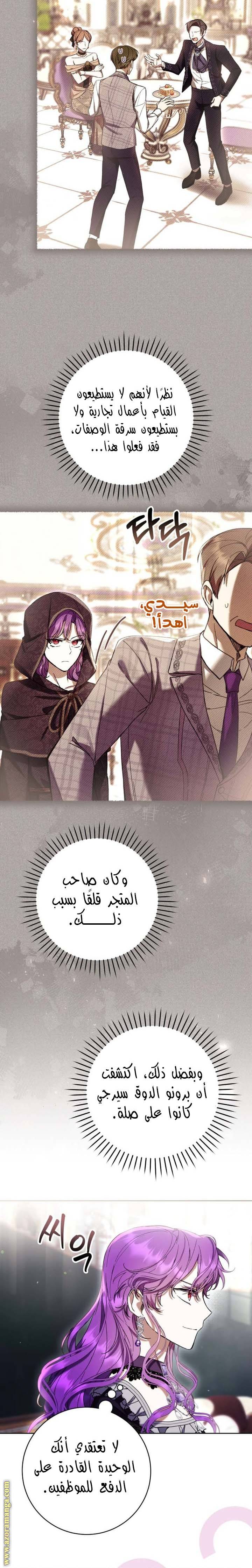 الصفحة 17