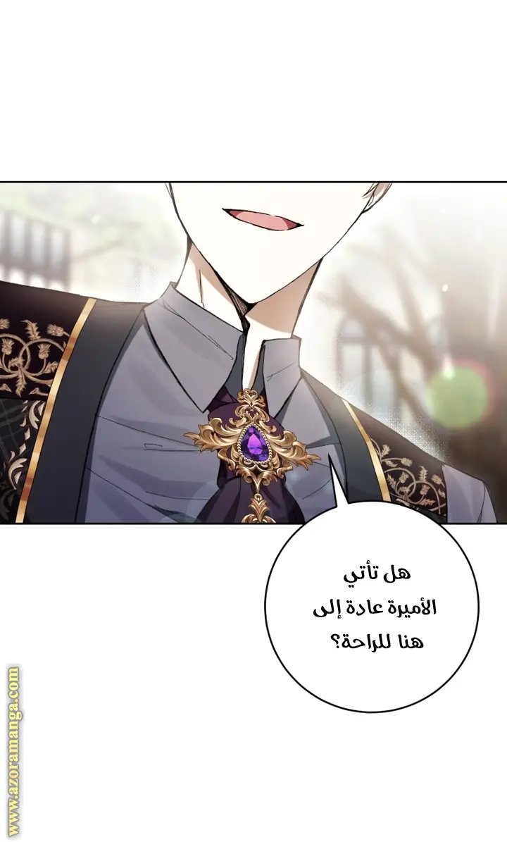 الصفحة 28