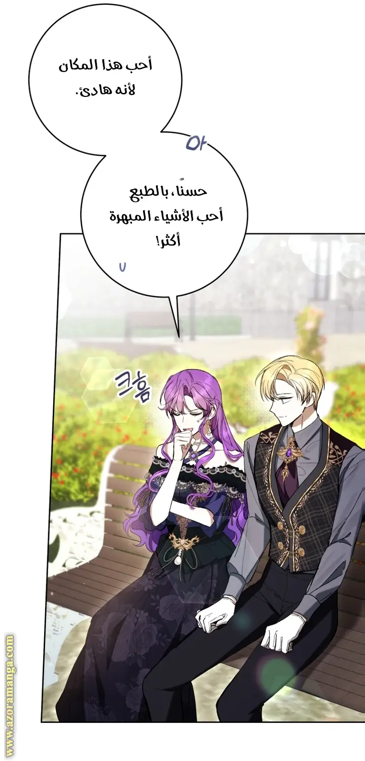 الصفحة 29