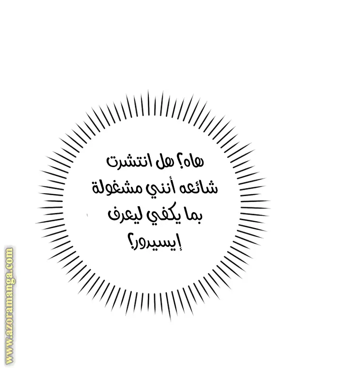 الصفحة 40