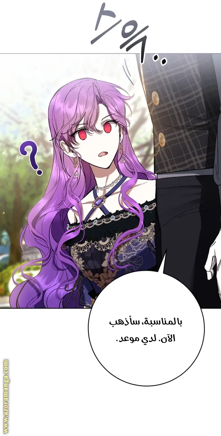 الصفحة 41