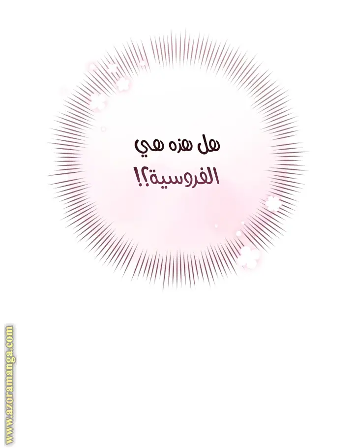 الصفحة 46