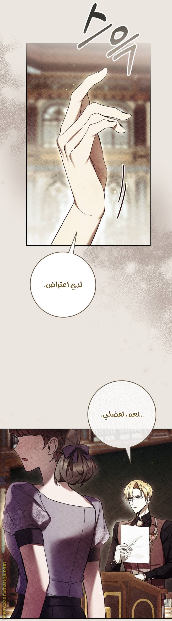 الصفحة 17
