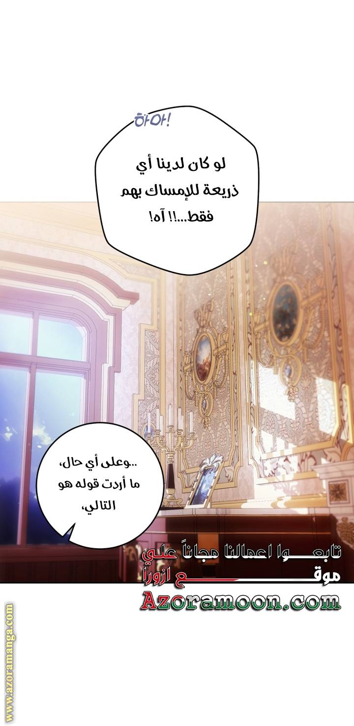 الصفحة 25
