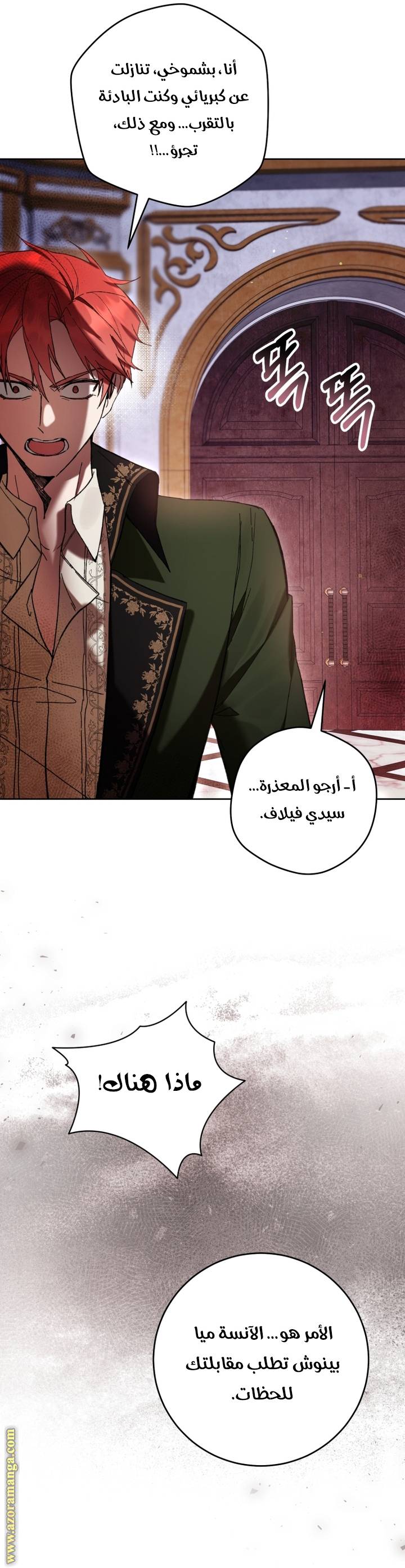 الصفحة 31