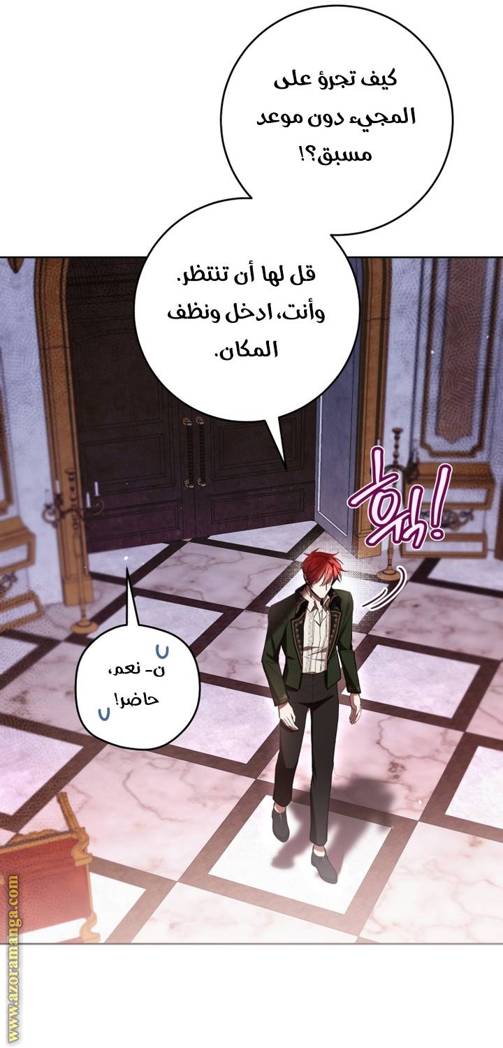 الصفحة 33