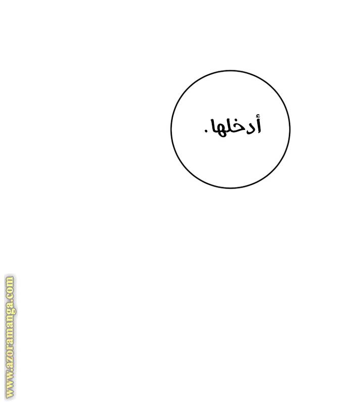 الصفحة 40