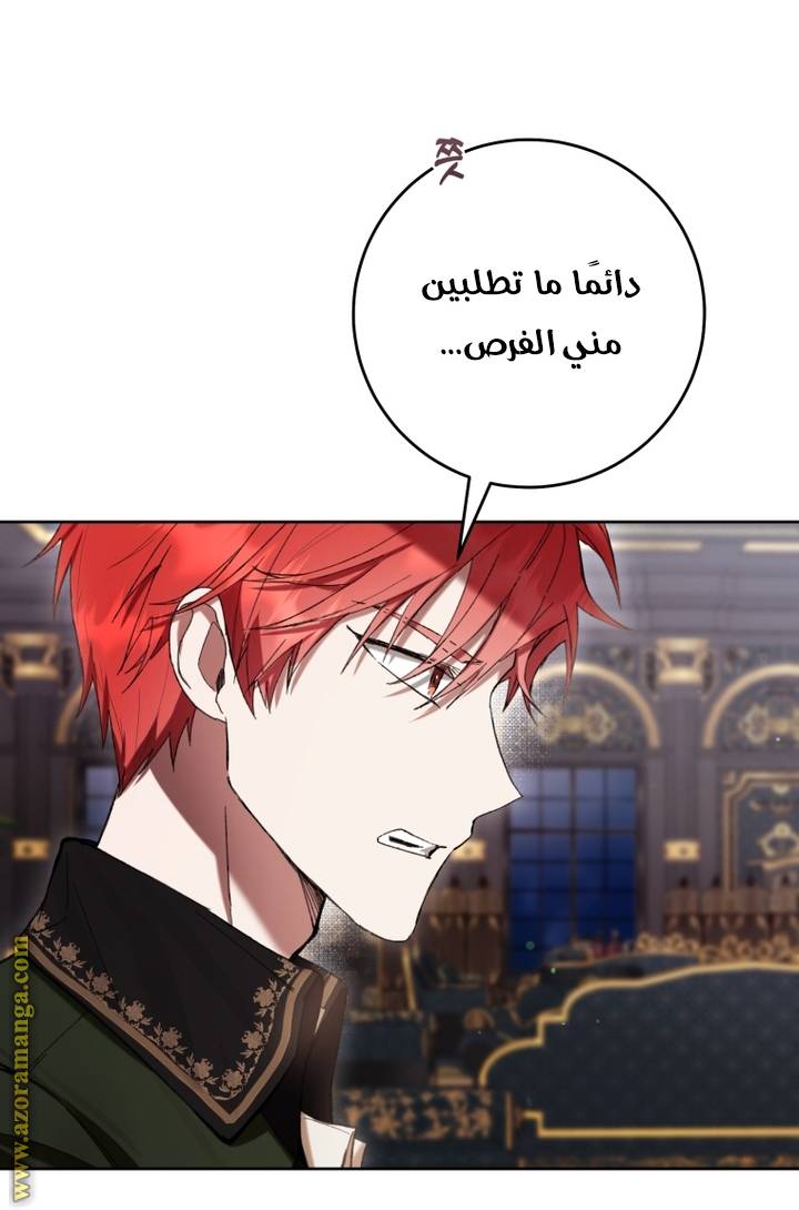 الصفحة 48