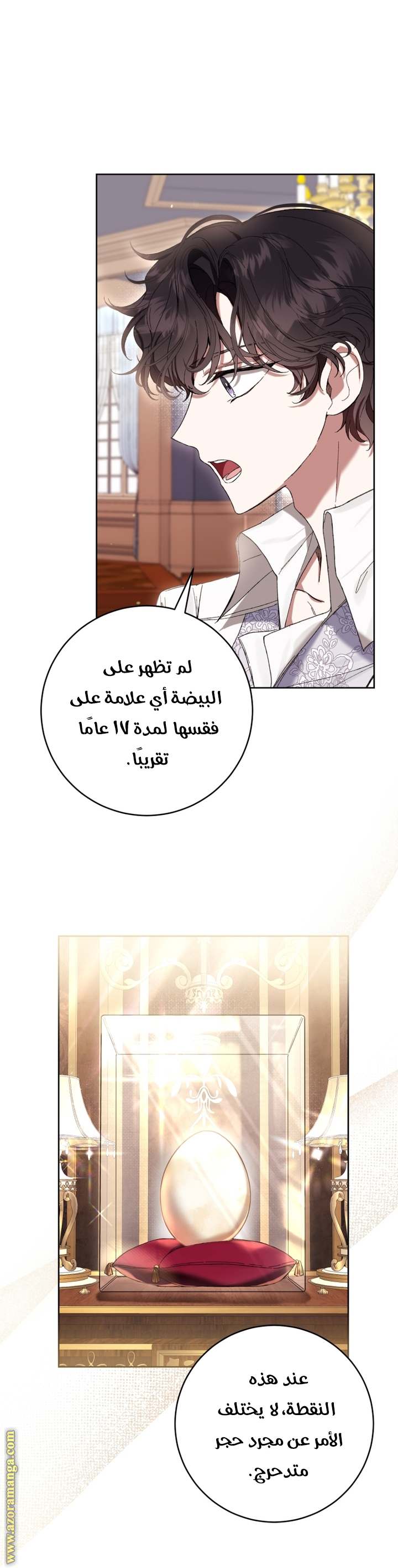 الصفحة 17