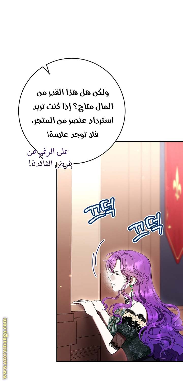 الصفحة 27
