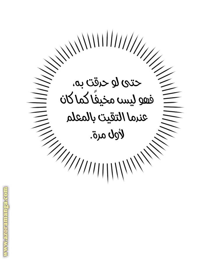 الصفحة 47