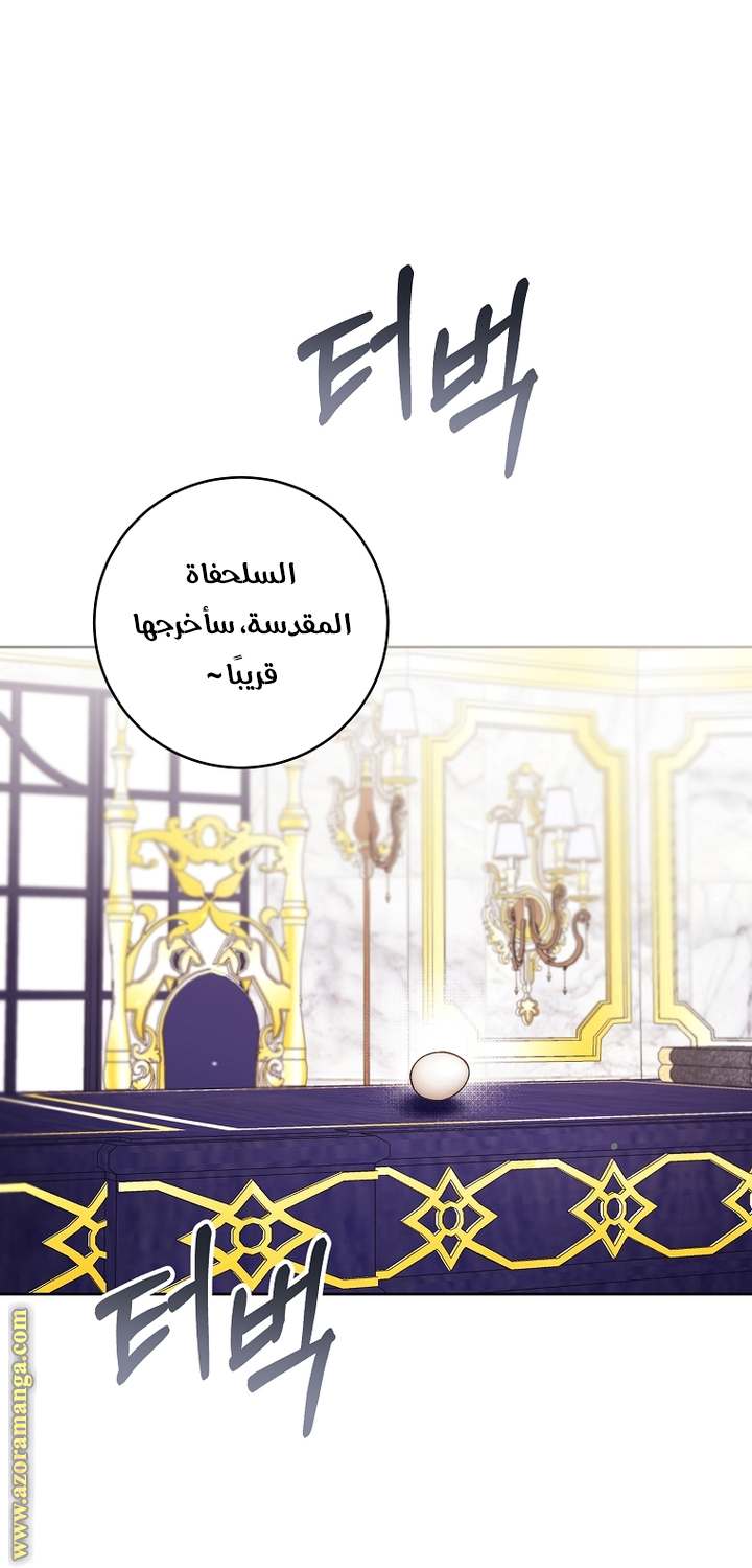 الصفحة 21