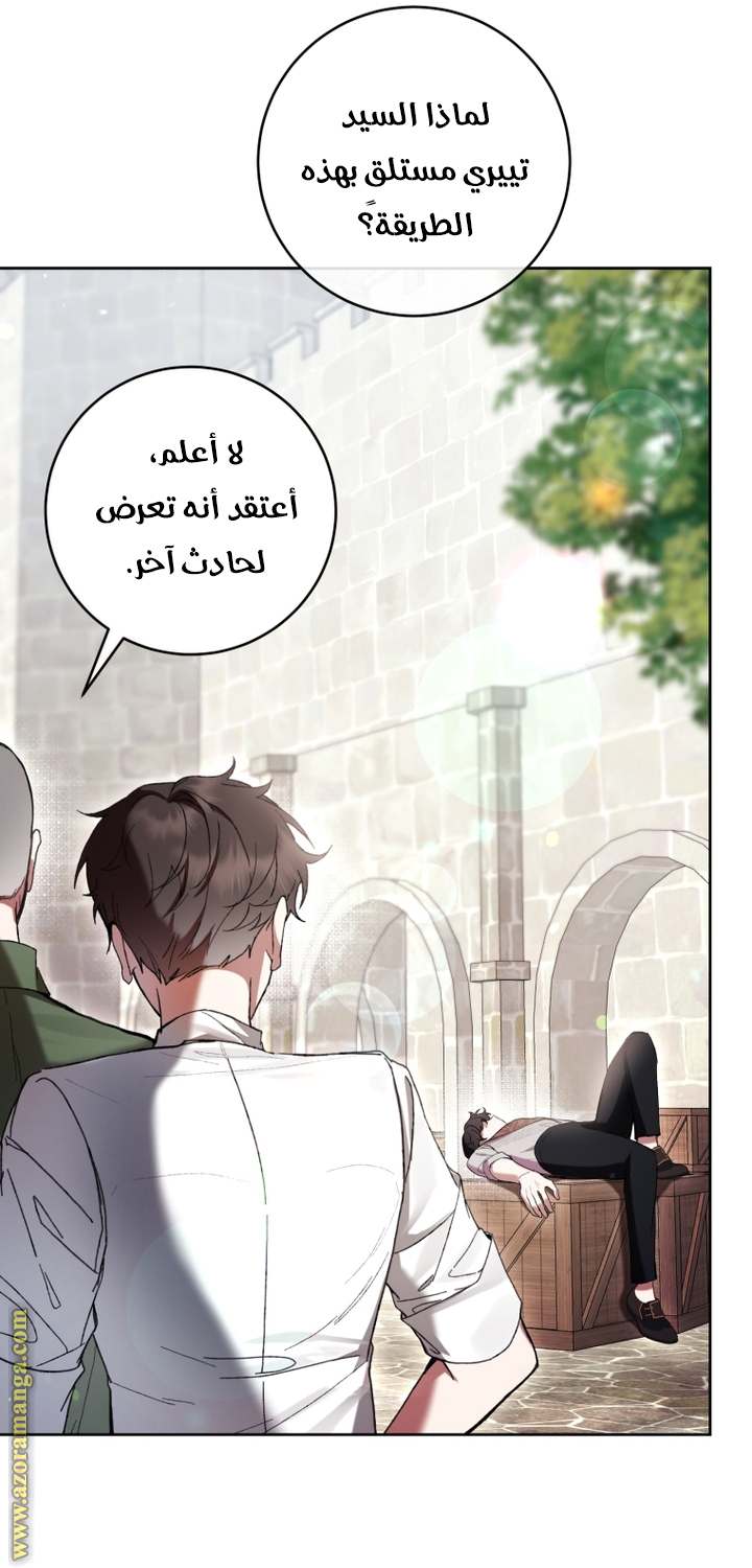 الصفحة 28