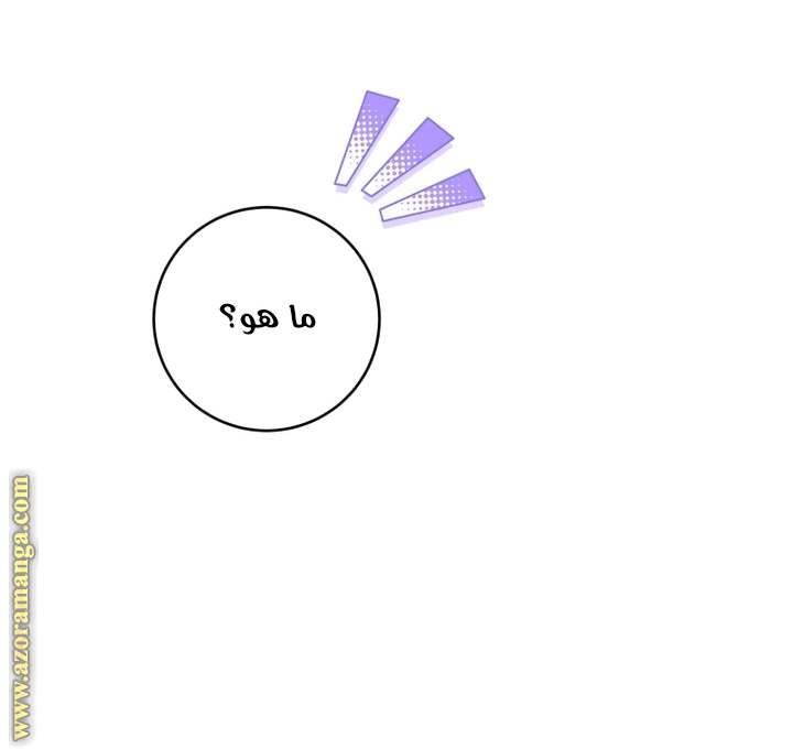 الصفحة 43