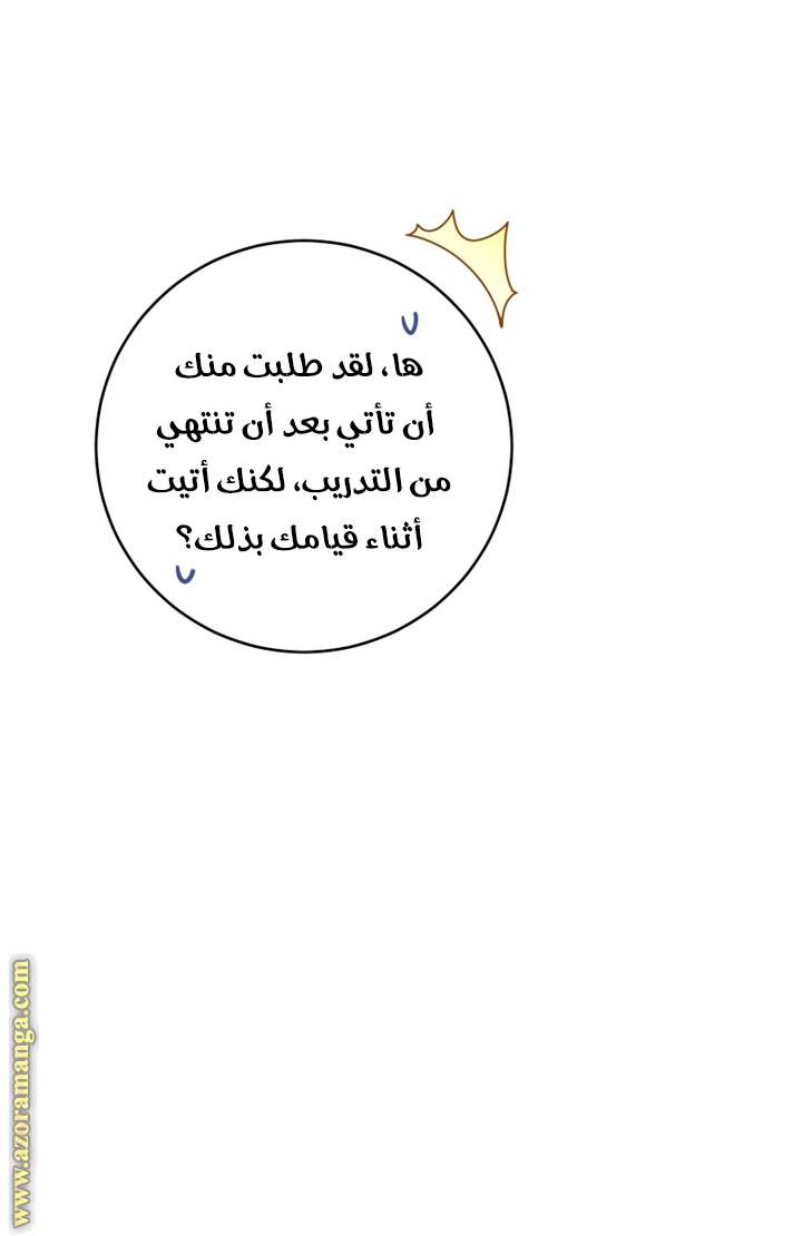 الصفحة 52