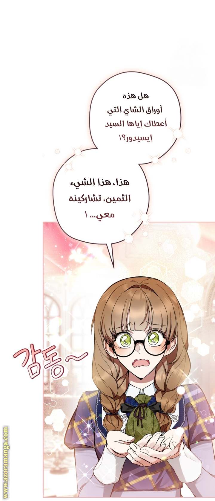 الصفحة 13