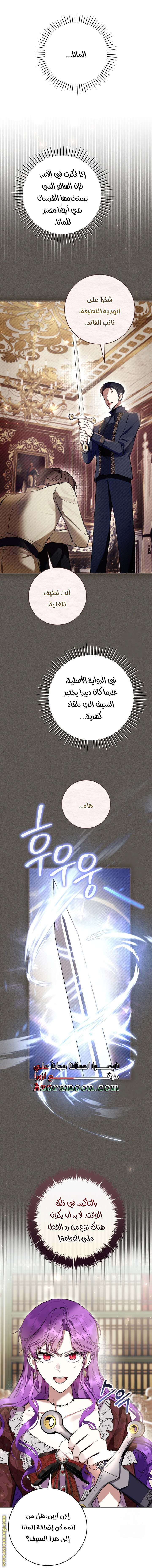 الصفحة 25