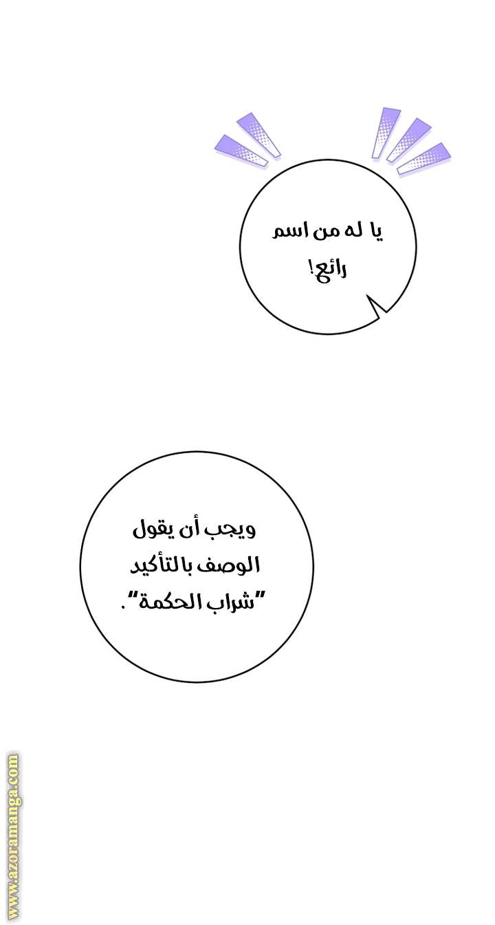 الصفحة 28