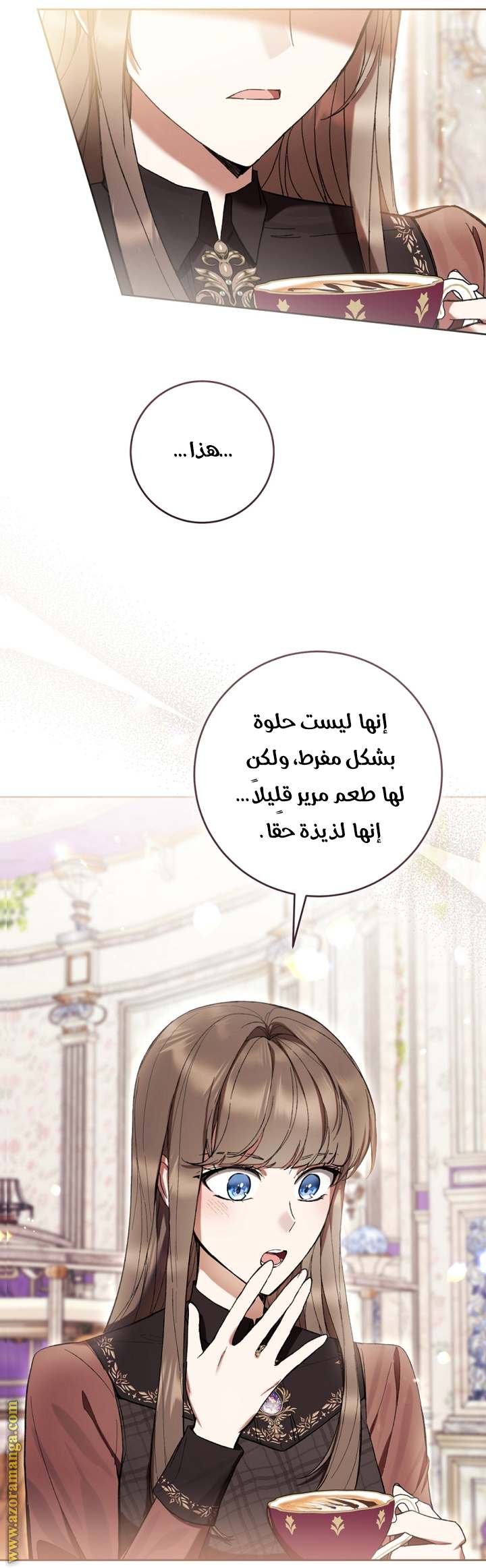 الصفحة 47