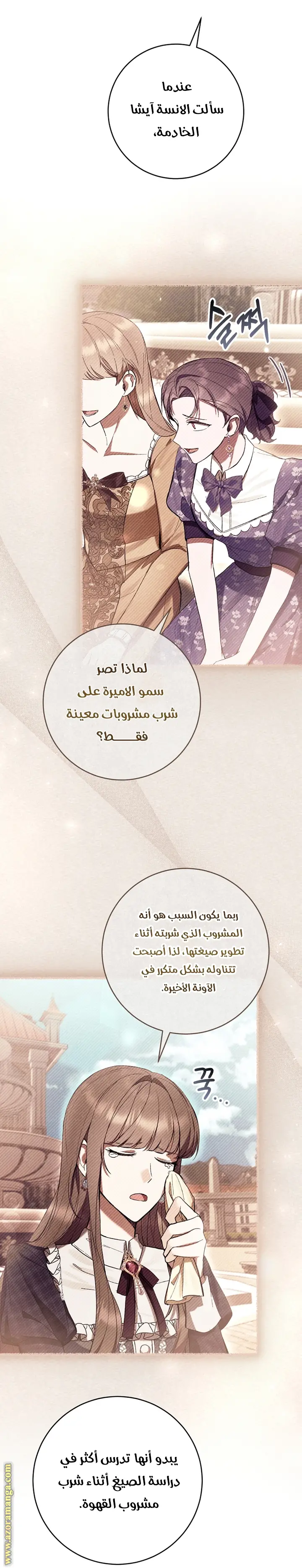 الصفحة 29