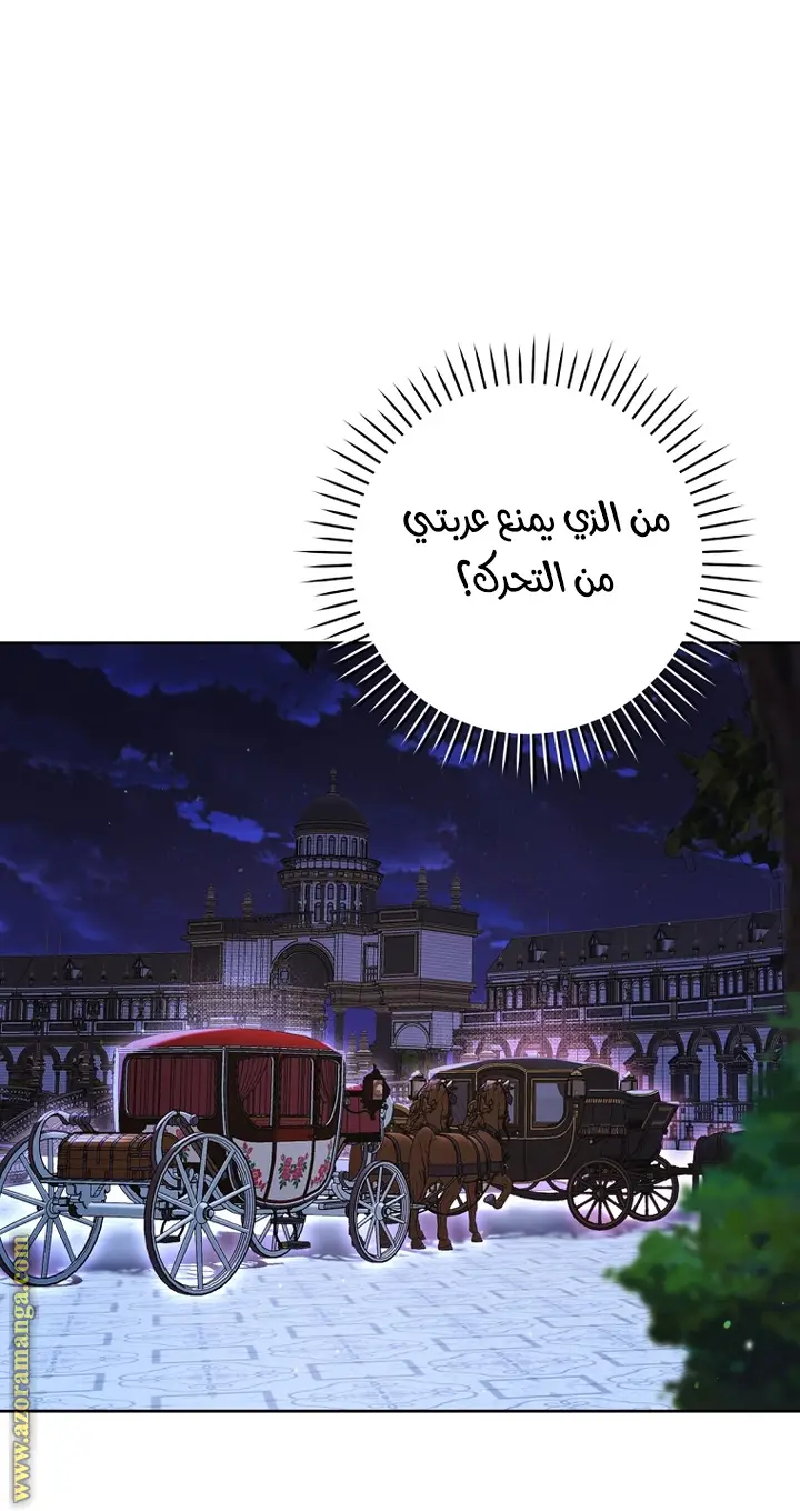 الصفحة 42