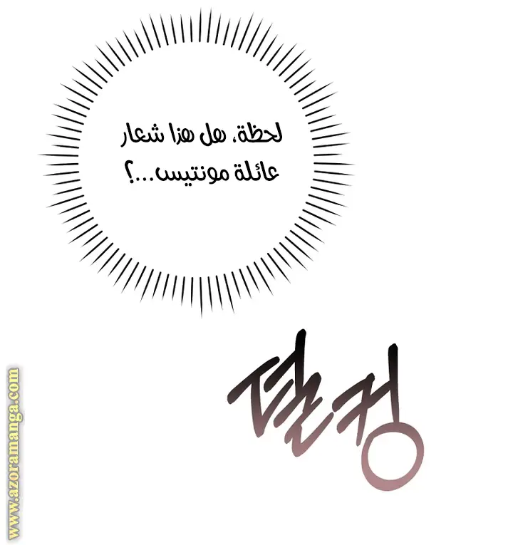 الصفحة 43