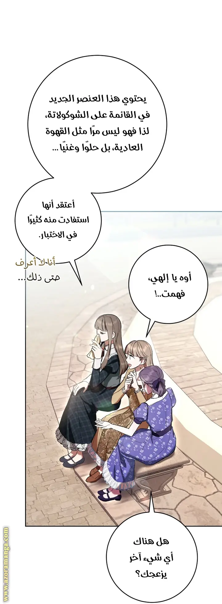 الصفحة 27