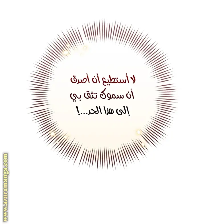 الصفحة 40