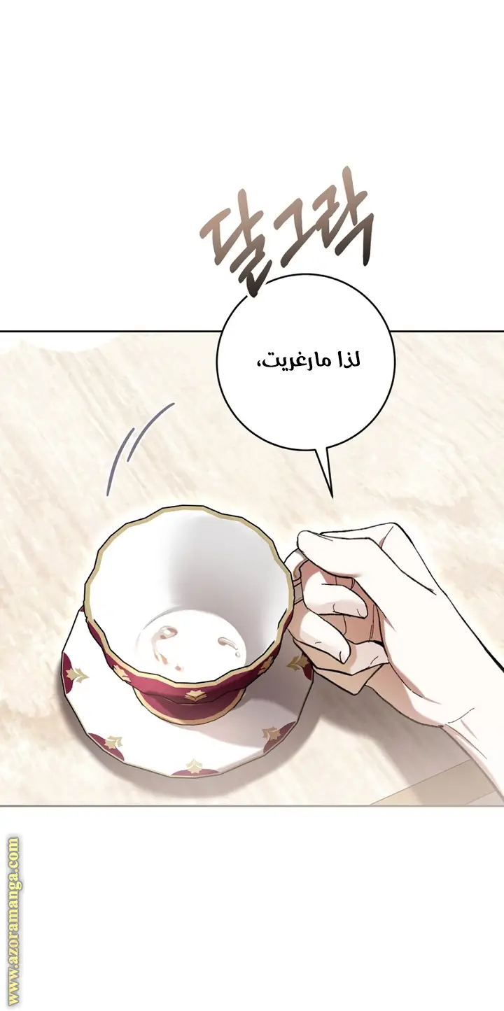 الصفحة 46
