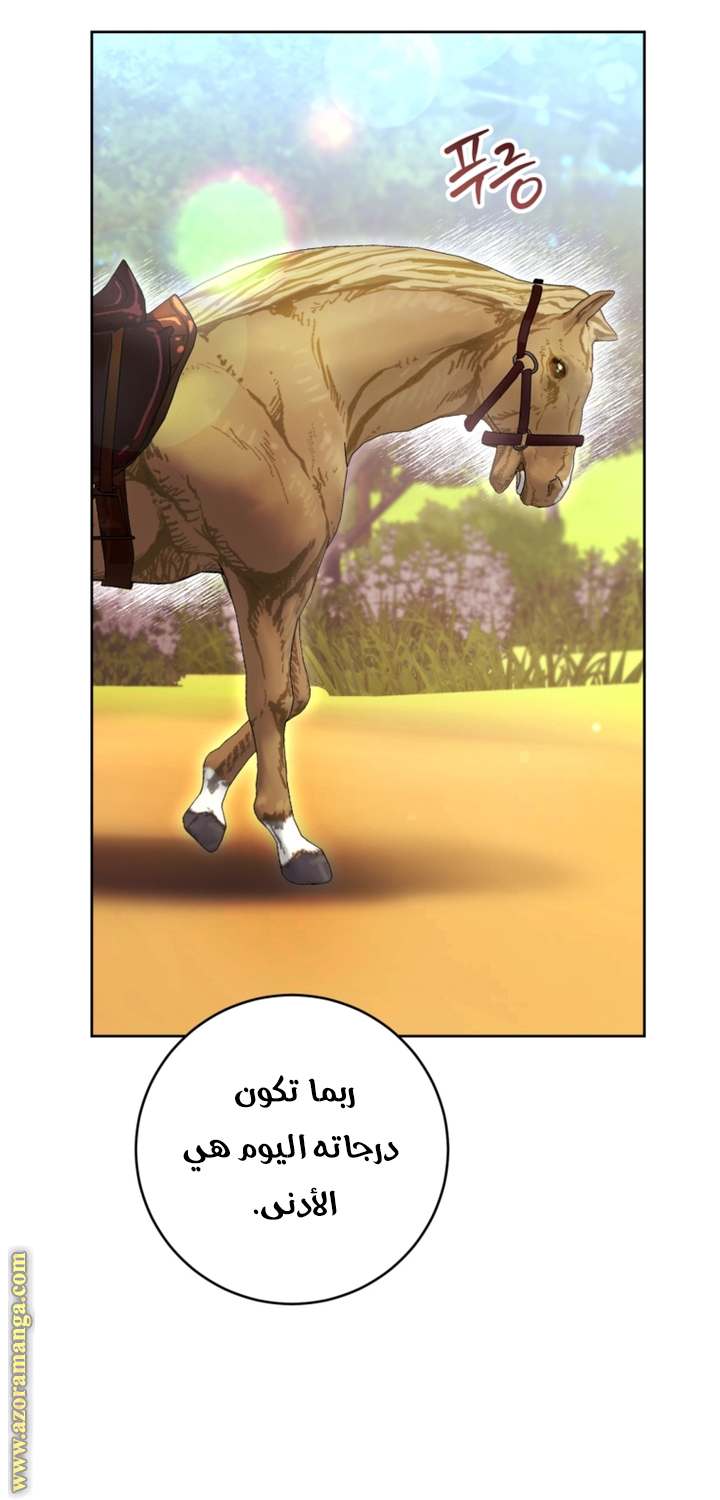 الصفحة 52