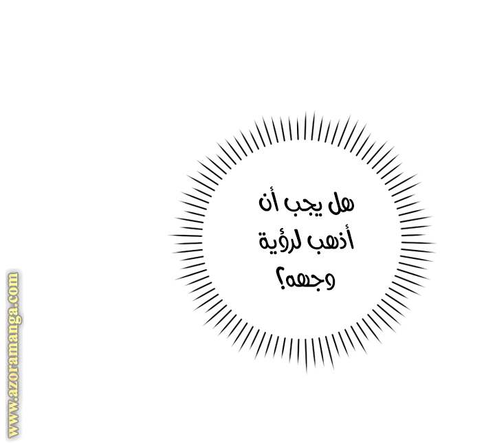 الصفحة 48